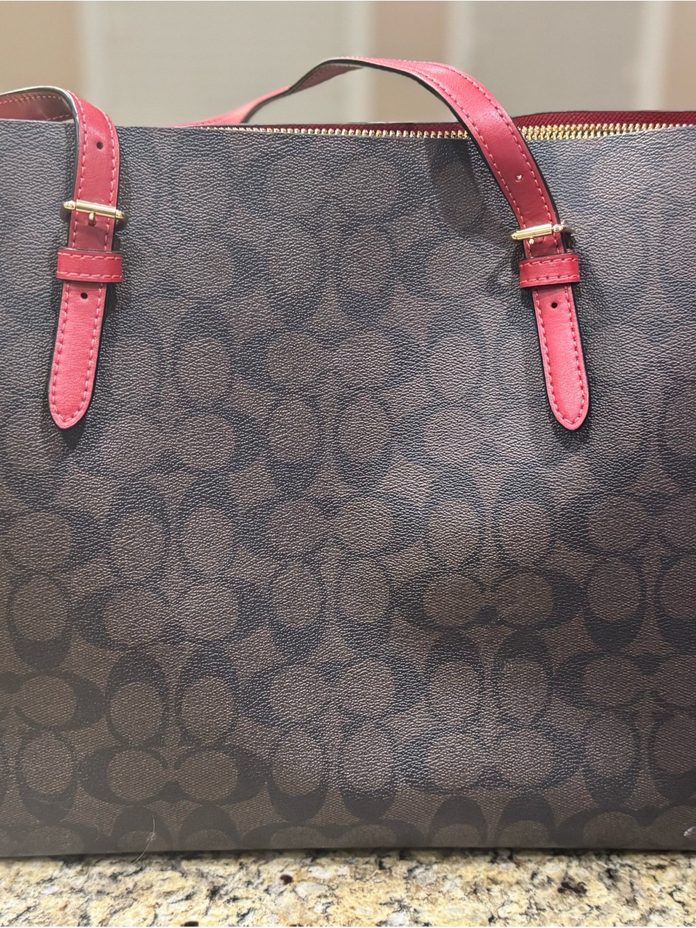 Coach City Zip Tote Signature Canvas Brown Red Leather Gold Hardware F58292 - Picture 4 of 11